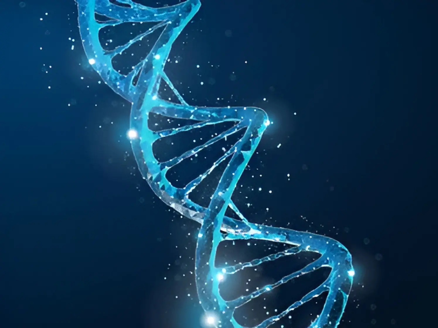 Genetic Algorithm For Convolutional Neural Network Hyperparameter Tuning